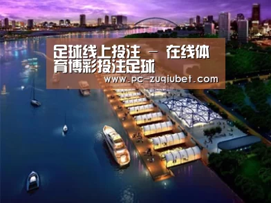 案例展示八