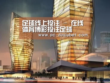 案例展示三