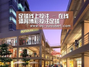 案例展示一